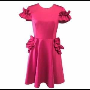 Ted Baker ruffle dress. Size 3(8). New!